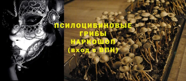 тгк Арсеньев